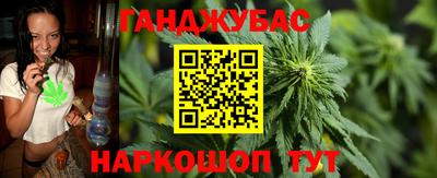 индика Северобайкальск