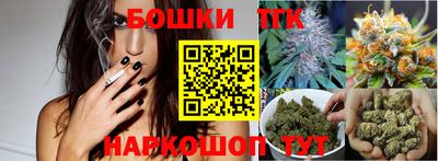 индика Северобайкальск