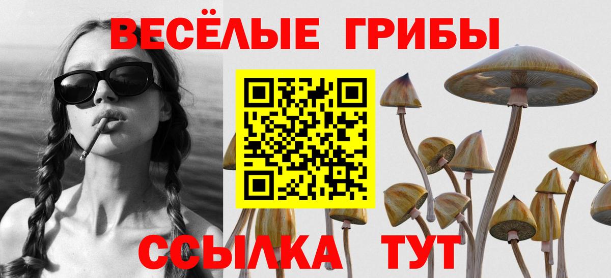 Подольск  Псилоцибиновые грибы мицелий  Вход с VPN 